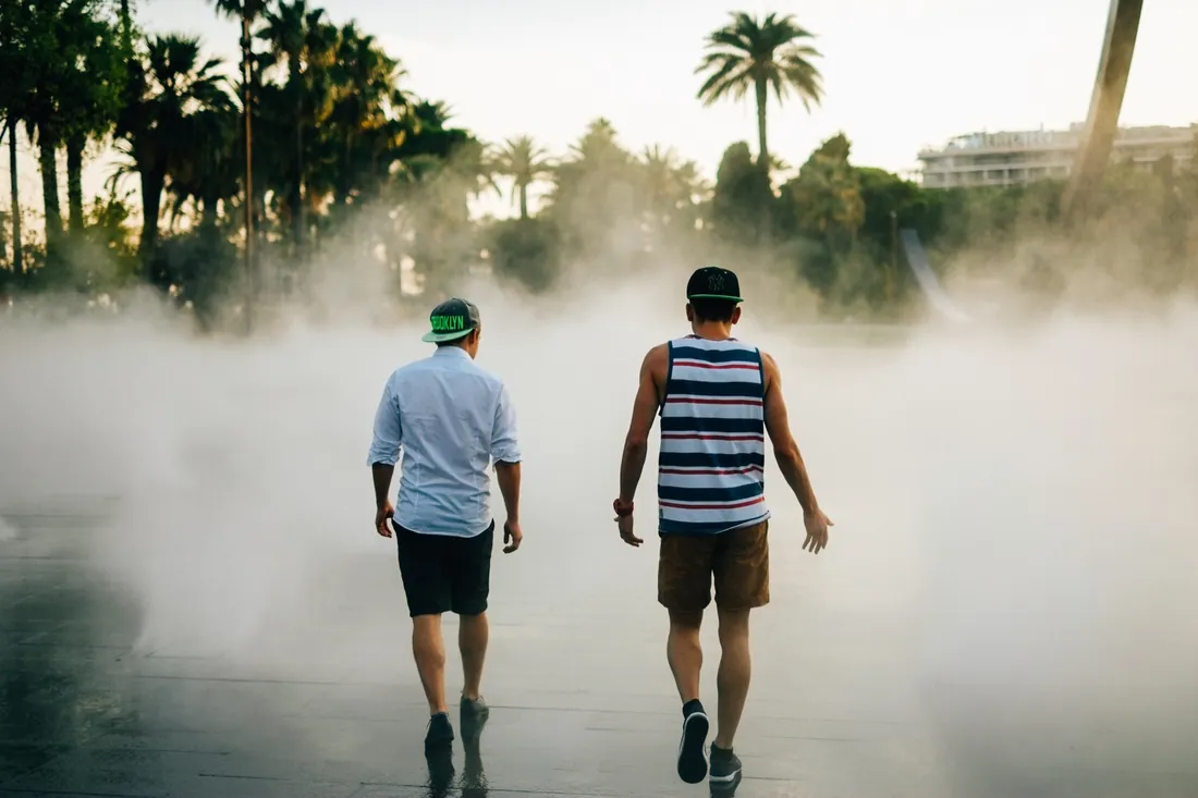 Two men walking into mist under palm trees